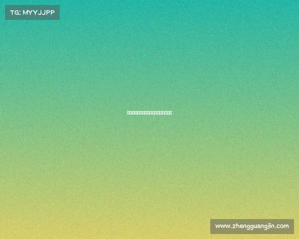 赛事服务的标准、赛事服务的标准是什么